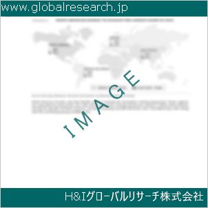 グローバルリサーチ調査資料のイメージ